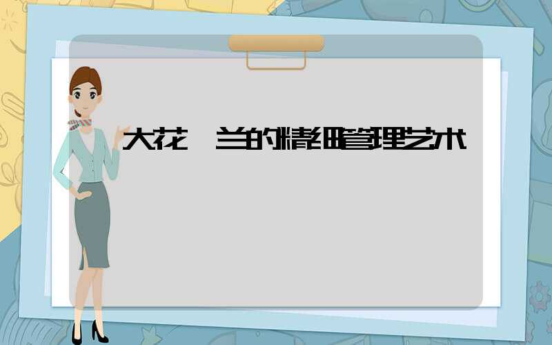  大花蕙兰的精细管理艺术
